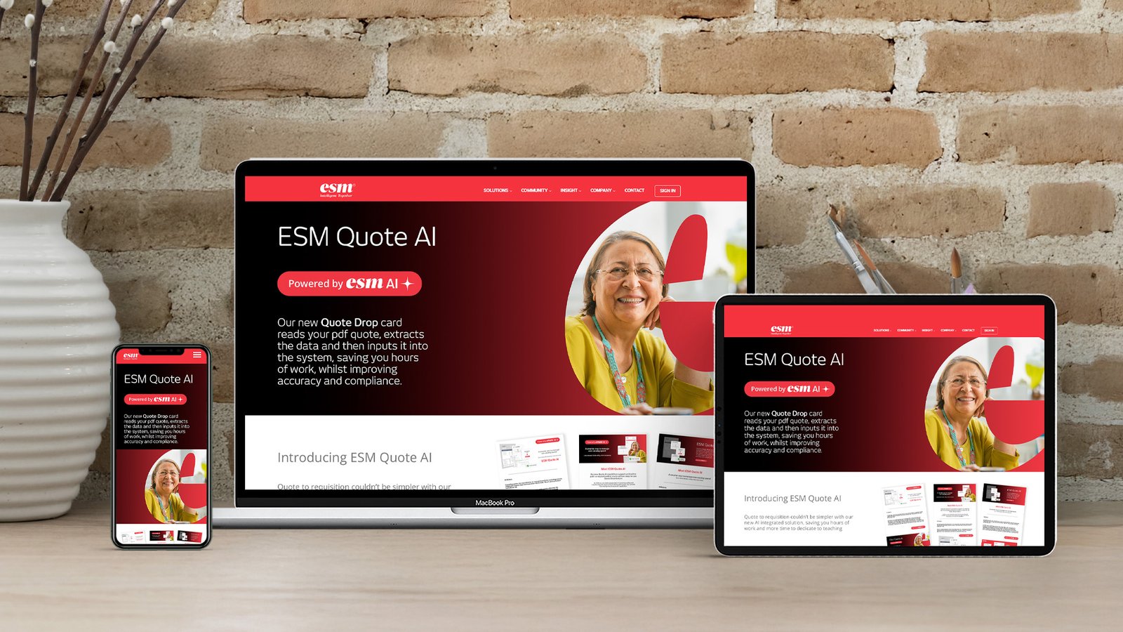 Client: ESM Solutions. We developed a robust set of graphics for the web, social media, email campaigns, presentations, exhibitions, videos, marketing collateral and branded merchandise.